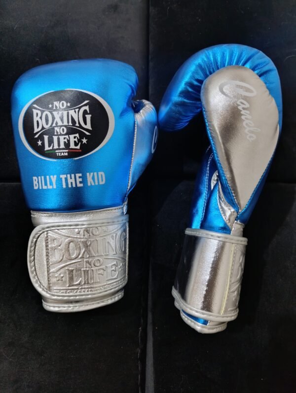 Premium high quality boxing gloves