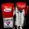 Winning boxing gloves