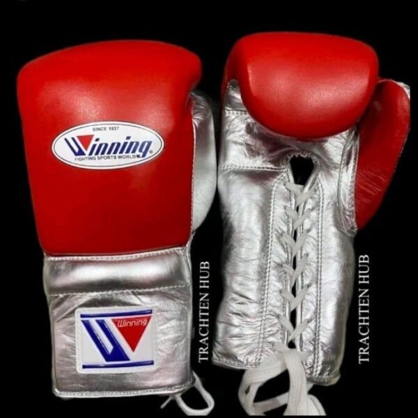 Winning boxing gloves