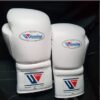White winning boxing gloves