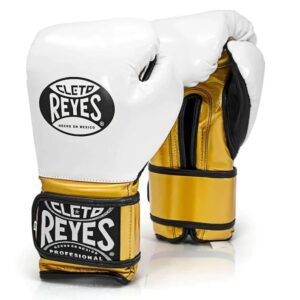 Cleto reyes boxing gloves