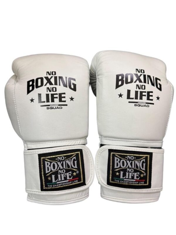 Training boxing gloves – training boxing gloves custom made no boxing no life gloves – professional quality boxing gear | glander boxing | glander boxing