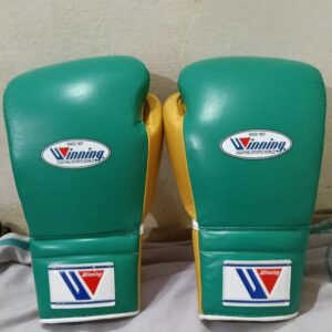 Winning Boxing Gloves
