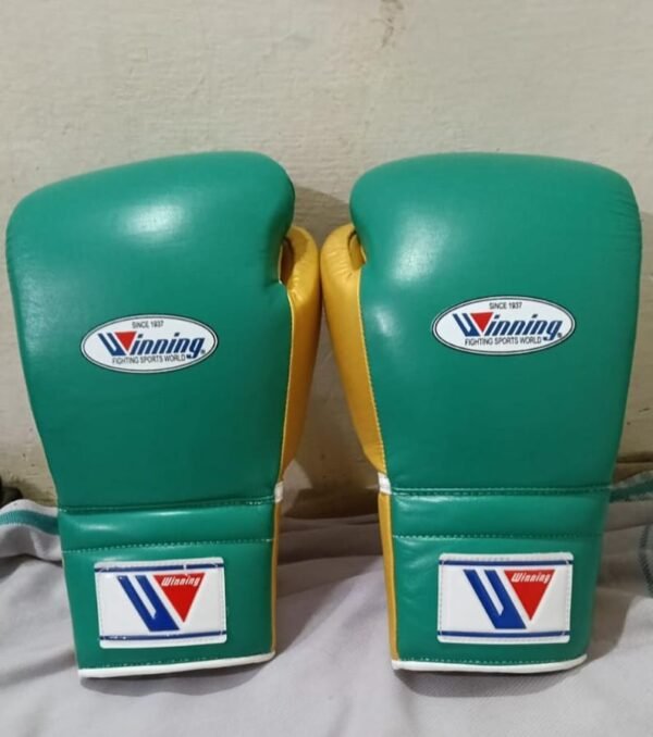 Winning boxing gloves