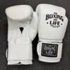 Training boxing gloves – training boxing gloves custom made no boxing no life gloves – professional quality boxing gear | glander boxing | glander boxing