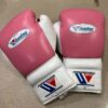 Winning Boxing Gloves