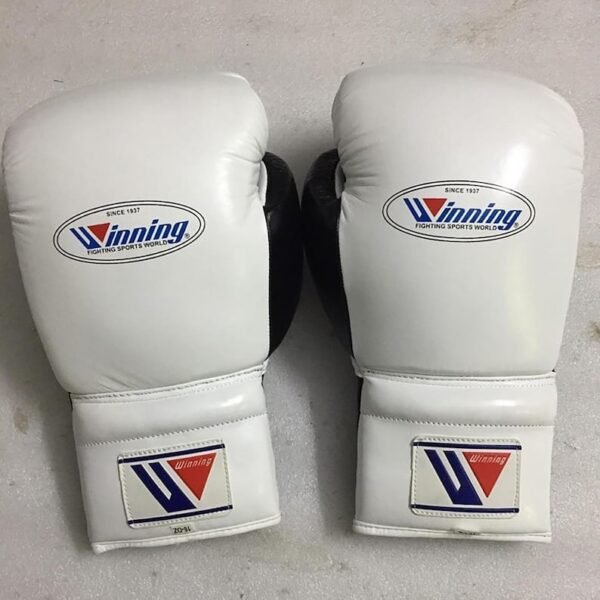 Smart Boxing Gloves 2025