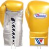 winning boxing gloves