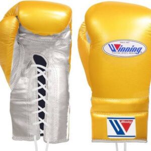 winning boxing gloves