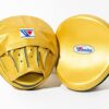 Golden winning focus mitts