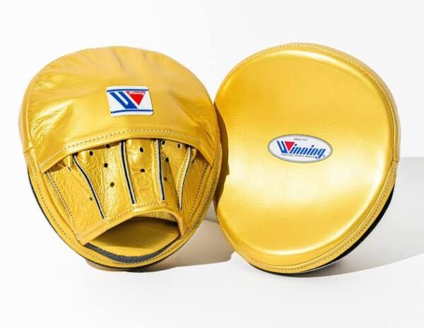 Golden winning focus mitts