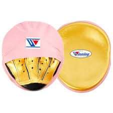 Winning Gold & Pink Focus Mitts